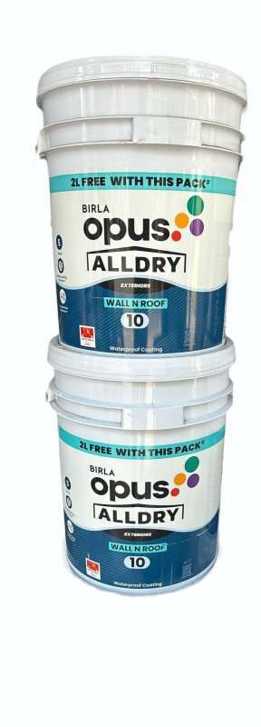 AllDry WallnRoof (WF10 White)  1Ltr